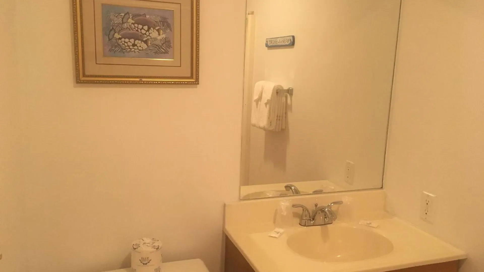 Ocean Cove Motel Virginia Beach Verenigde Staten